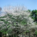 동산제1호 이미지