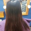 토브헤어 이미지