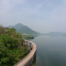 낙동강자전거길 이미지