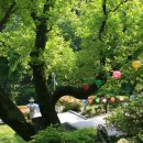 광덕사 일대 이미지