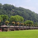 뿌리공원 이미지