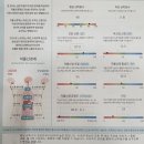 잠원한의원 | 신사역 기능의학병원 안면다한증 원인 찾기! 자율신경계 호르몬 검사 후기