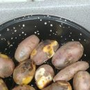 꾸버드림 이미지