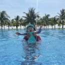 동국목장 | 베트남 푸꾸옥여행 아기와 해외여행 짐싸기 여행준비물 리스트 총정리 I 침대가드 여행용 아기의자 후기