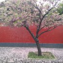 강태공낚시 이미지