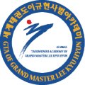 태권도 이규현사범 아카데미 이미지