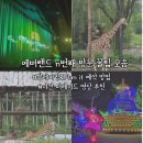 제주발렛파킹 | [용인] 에버랜드 아이와 N번째 방문 후기 꿀팁 (발렛파킹&Plan it 예약 방법. 야간 퍼레이드 명당)