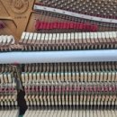 서울메네스음악학원 이미지