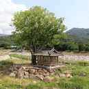 산동농협 하나로마트 이미지