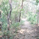 도곡5리 이미지