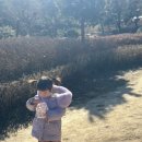 울산테마식물수목원, 동물의정원 : 24개월미만 무료입장 실내동물원 체험