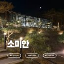 보령북로 | 보령디저트카페 소미안 방문 후기 ｜ 숲속 느낌의 야경 예쁜 보령카페