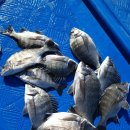 월항민박 이미지