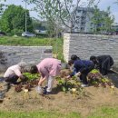 서구농장 이미지