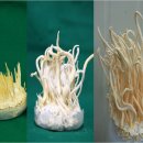 (유)정진발전 이미지