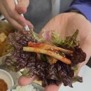 스타벅스천안안서점 | [천안] 서다원_천안돼지갈비맛집_성성동맛집_천안갈비_숙성돼지갈비