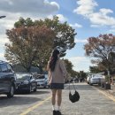 덕진-86 | 여행] 전주 1박 2일 여행, 가을 전주풀코스 즐기기, 비빔밥, 막걸리한상, 콩나물국밥, 한옥마을, 덕진공원