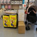 미스터 몽 이미지