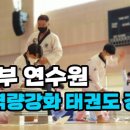경희대 석사 태영 태권도 이미지