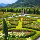 "가을에만 볼 수 있는 26만㎡ 꽃 정원" 유네스코도 인정한 58일간의 가을꽃 축제 이미지