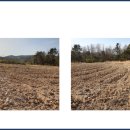 신흥리태양광발전소 이미지