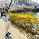 심천초등학교 이미지