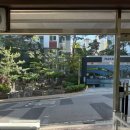멍헤어 애견미용실 | 스트레스 없는 녹번역 애견미용실 멍베리 이용 후기