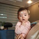 달쥬