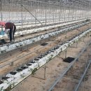 효산농장 이미지