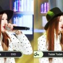 토닥토닥 Daum카페