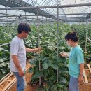 안성농약 이미지