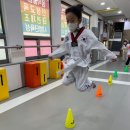 국가대표 태권도 세상 태권도장 이미지