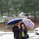 다밀어린이집 이미지