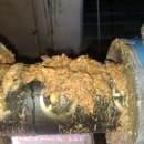 강원하수구 이미지