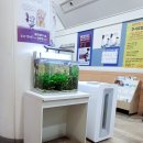 백신경외과의원 이미지