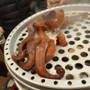 황제조개궁녀