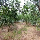 진표농장 이미지