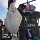 팀인천 루키나호 네이버블로그