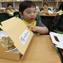 태봉초병설유치원 이미지