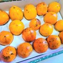 참새골농장 이미지