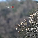 시내암천 이미지