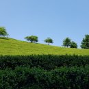 나의 소중한, 오늘 이미지