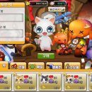 펫 아일랜드 이미지