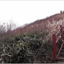 장수방화동가족휴가촌자동차야영장 이미지