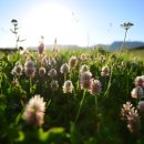 선의행정사사무소 이미지