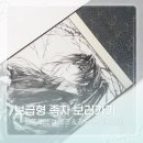 디자인유니