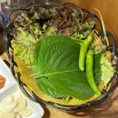 1++(No.9) 한우를 부천 최저가로 맛볼 수 있는 정육식당 &#39;덕유산태극한우&#39; 꽃등심+꽃살 후기