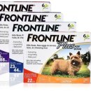 지엔동물병원 이미지