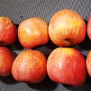 우람농장 이미지