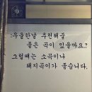 일홍 이미지
